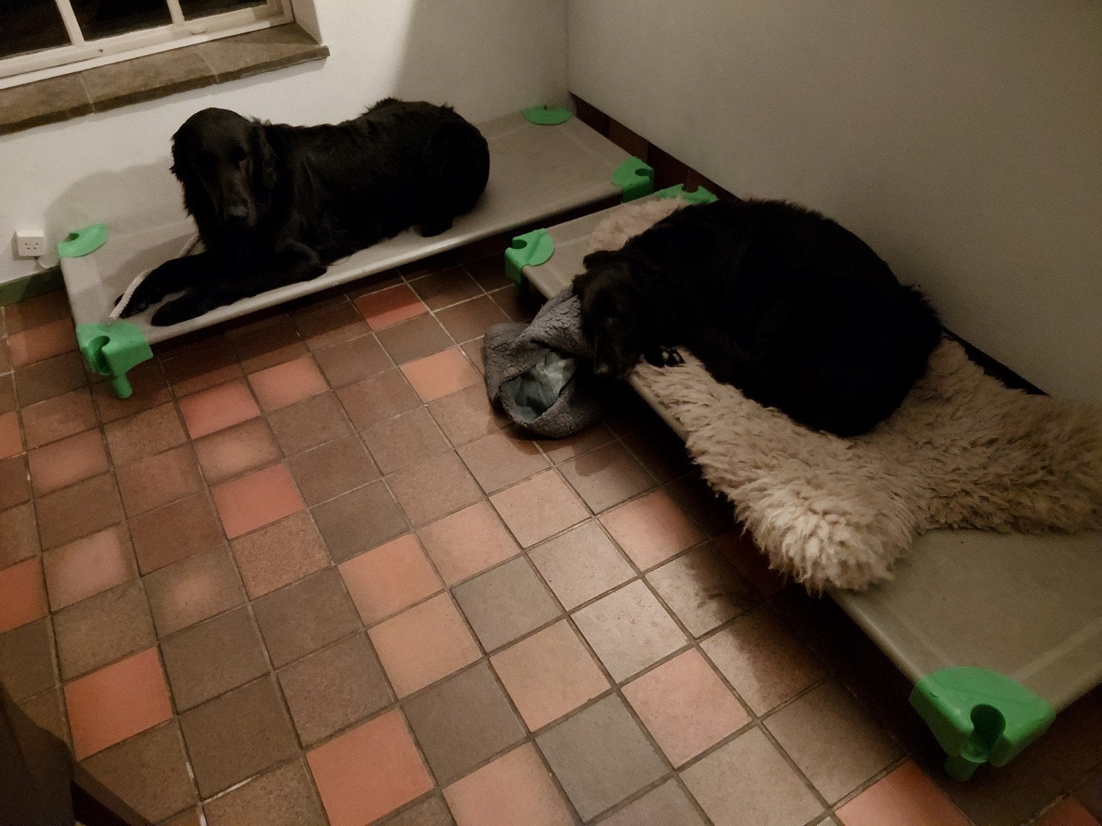 2 ideale hondenstretchers (130*60), Ophalen, Overige