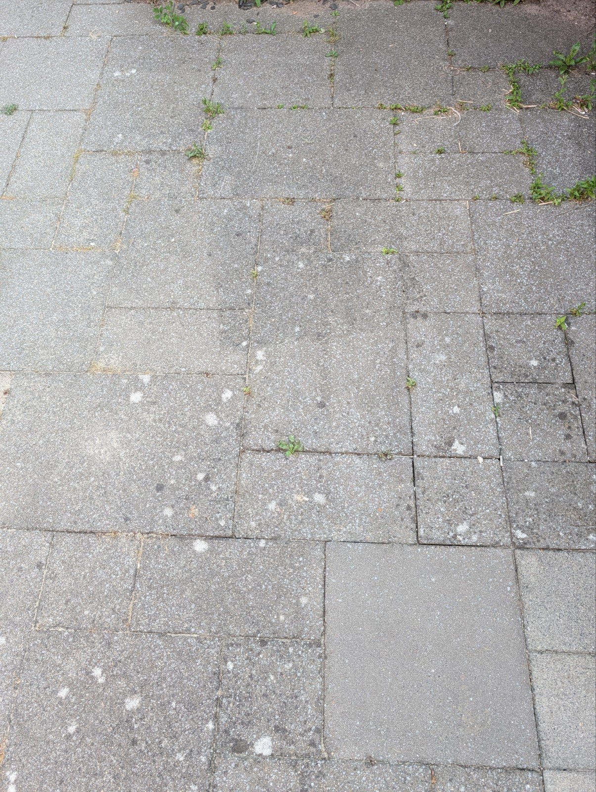 Grote partij terrastegels (strak wildverband, >35m2), Ophalen, Gebruikt, Beton, Terrastegels