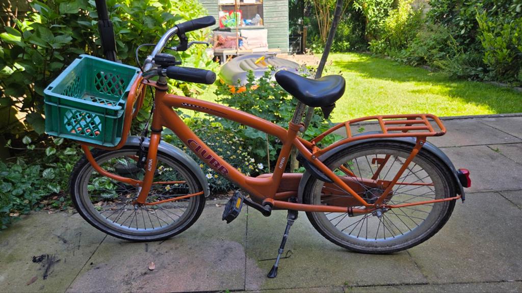 Alpine kinderfiets 20 inch, Fietsen en Brommers, Fietsen | Jongens, Ophalen, Gebruikt, 20 inch