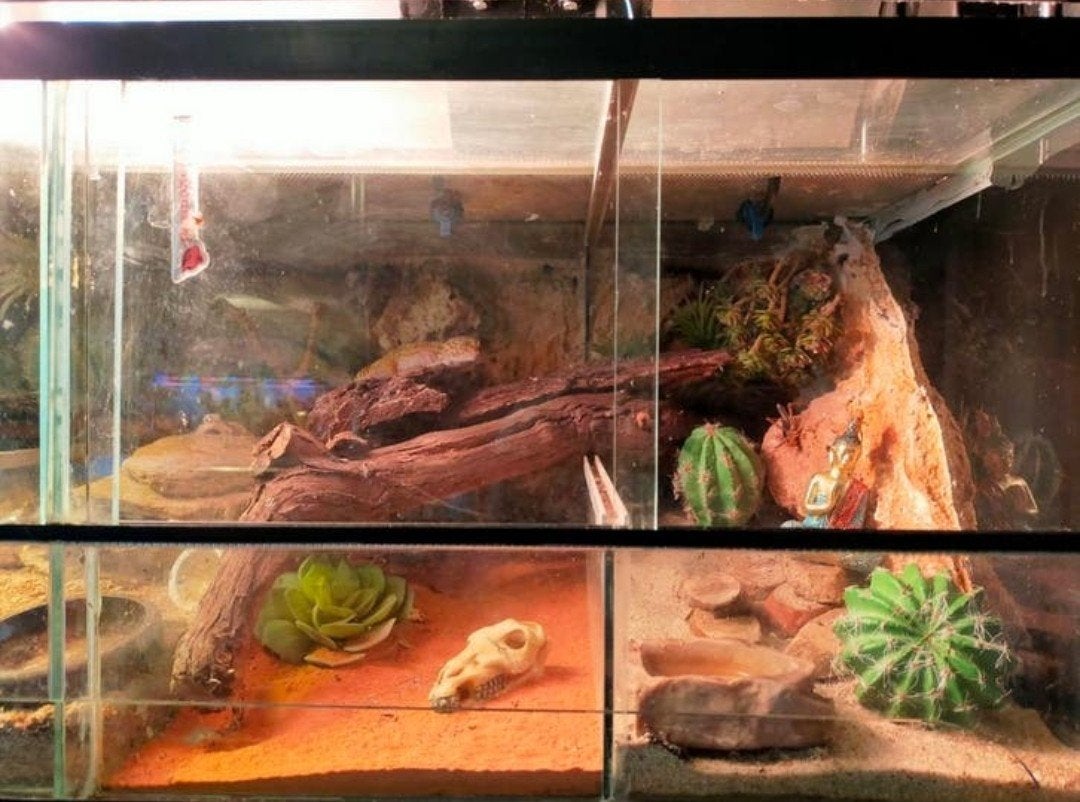 terrarium 3 aan elkaar, Dieren en Toebehoren, Ophalen, Gebruikt