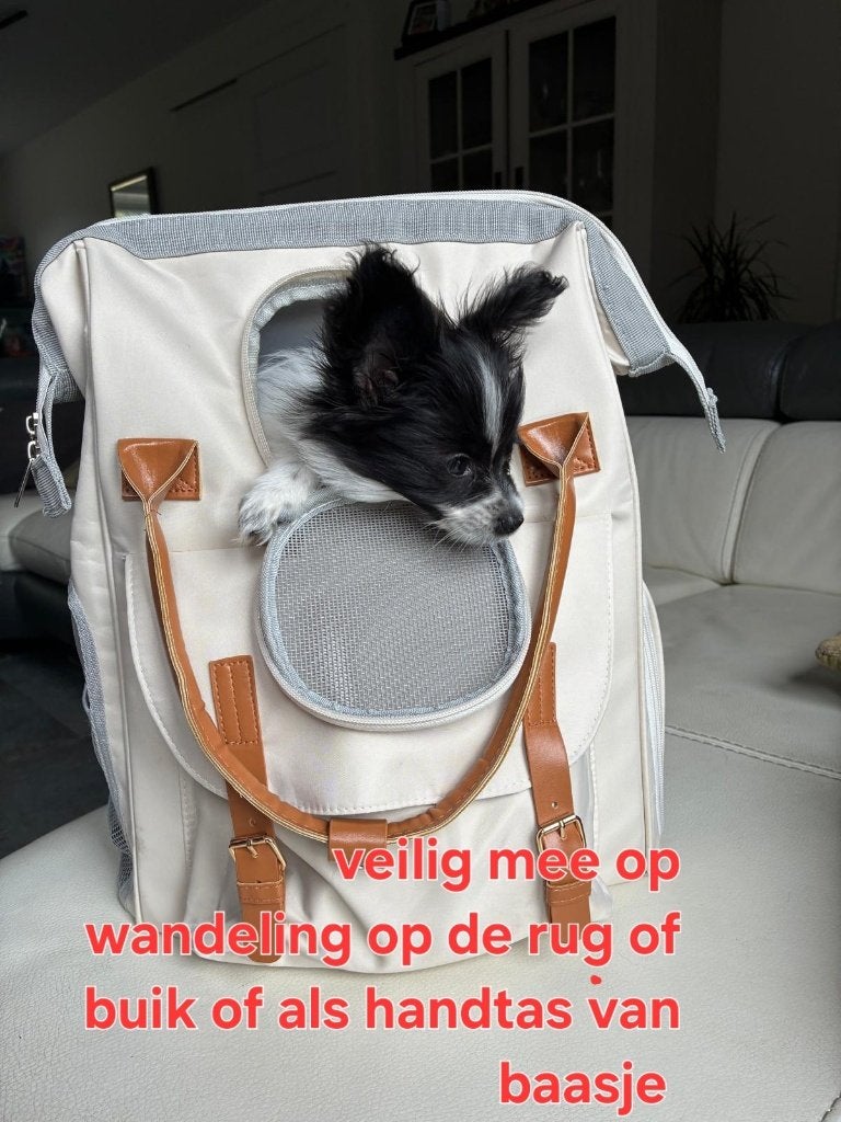 Ff lezen: rug of buik draagtas rugtas draagzak hond pup, Overige merken, Ophalen of Verzenden, Gebruikt, Draagtas/-zak
