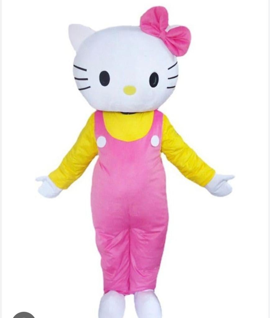 Hello kitty mascotte te huur, Ophalen, Zo goed als nieuw, Overige