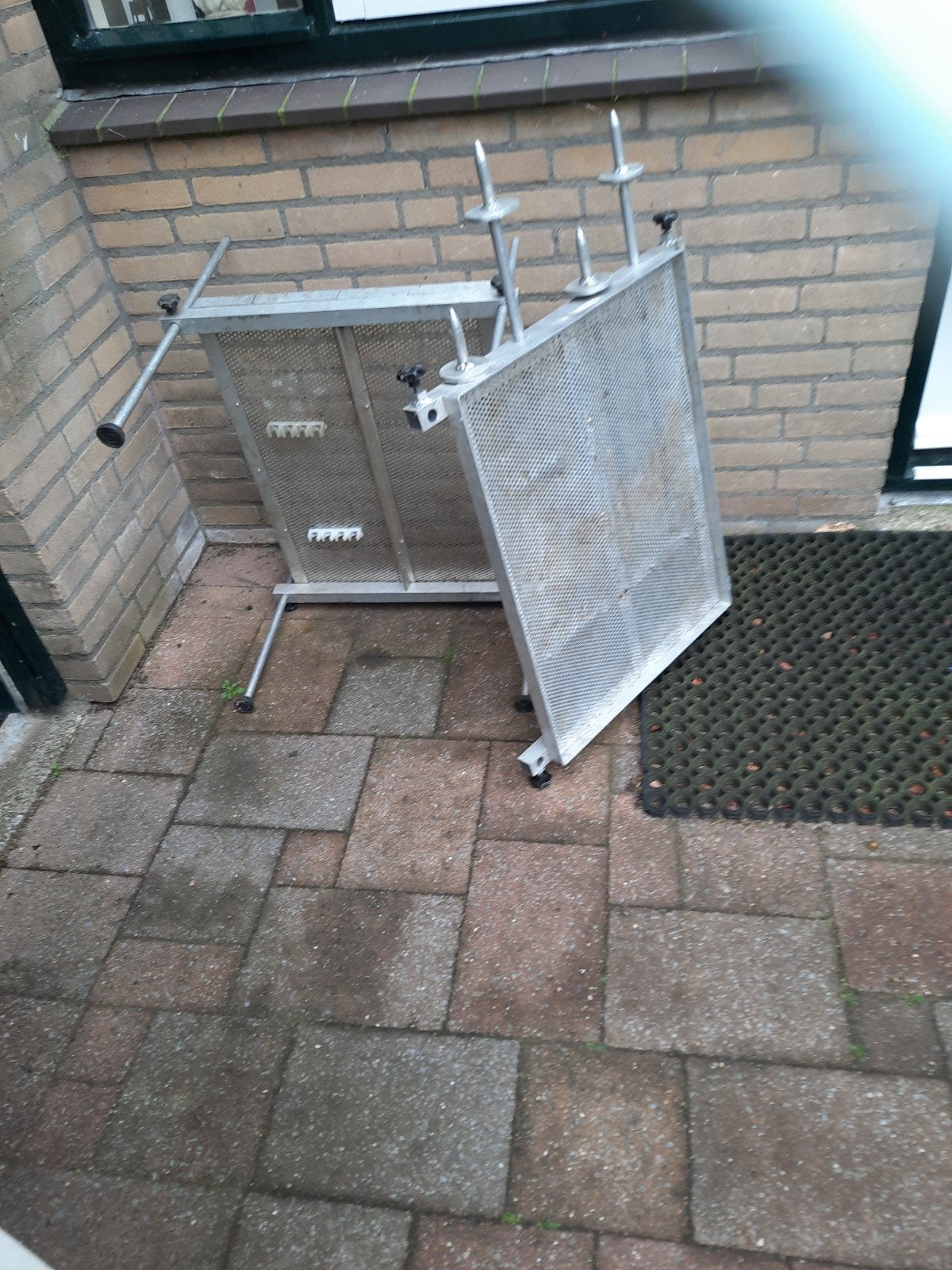 Visvlonders. €15,00 per stuk, Dieren en Toebehoren, Overige soorten