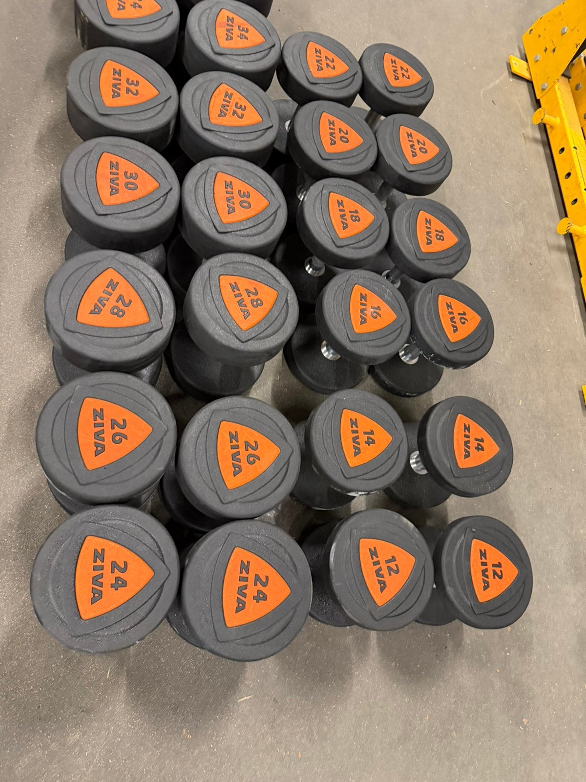 Rubberen Ziva Pu Dumbells 12kg t/m 50kg, Sport en Fitness, Ophalen, Zo goed als nieuw, Dumbbell