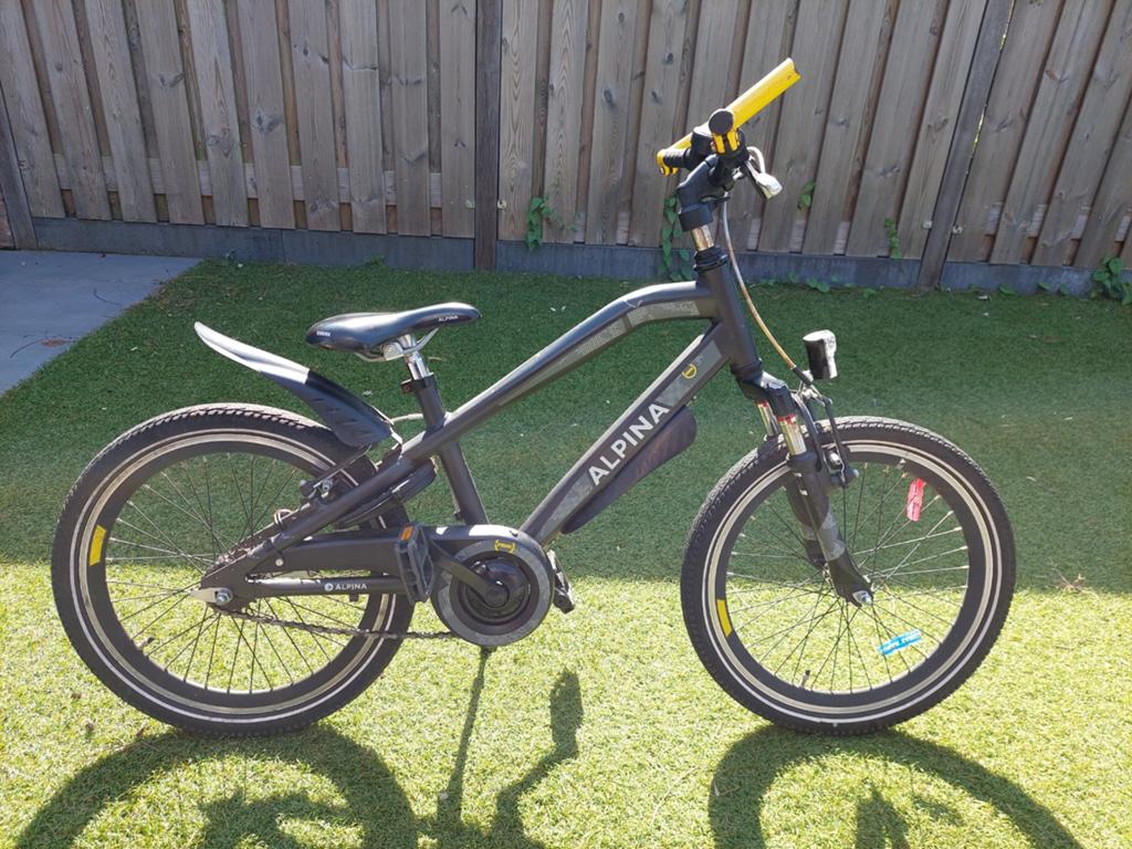 Alpina Trial 20 inch, Fietsen en Brommers, Fietsen | Jongens, Ophalen, Terugtraprem, Gebruikt, Handrem
