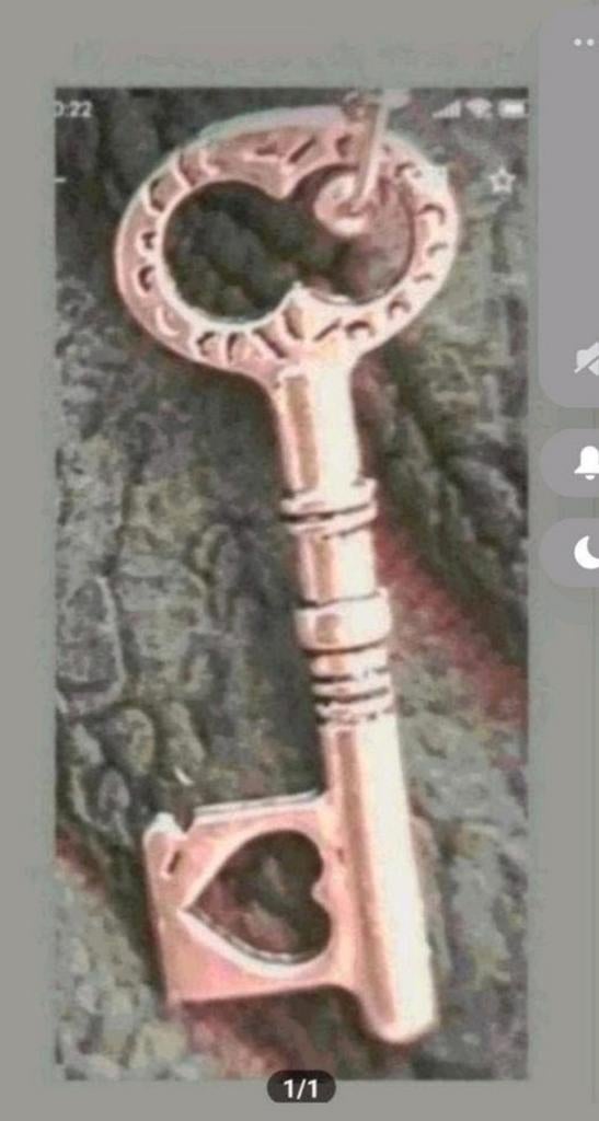 Ketting sleutel, Verzenden, Nieuw, Zilver, Met hanger