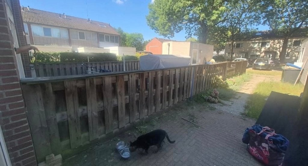 Gratis 20meter schutting op te halen, Tuin en Terras, Ophalen, Minder dan 3 meter, Hout, 1 tot 2 meter