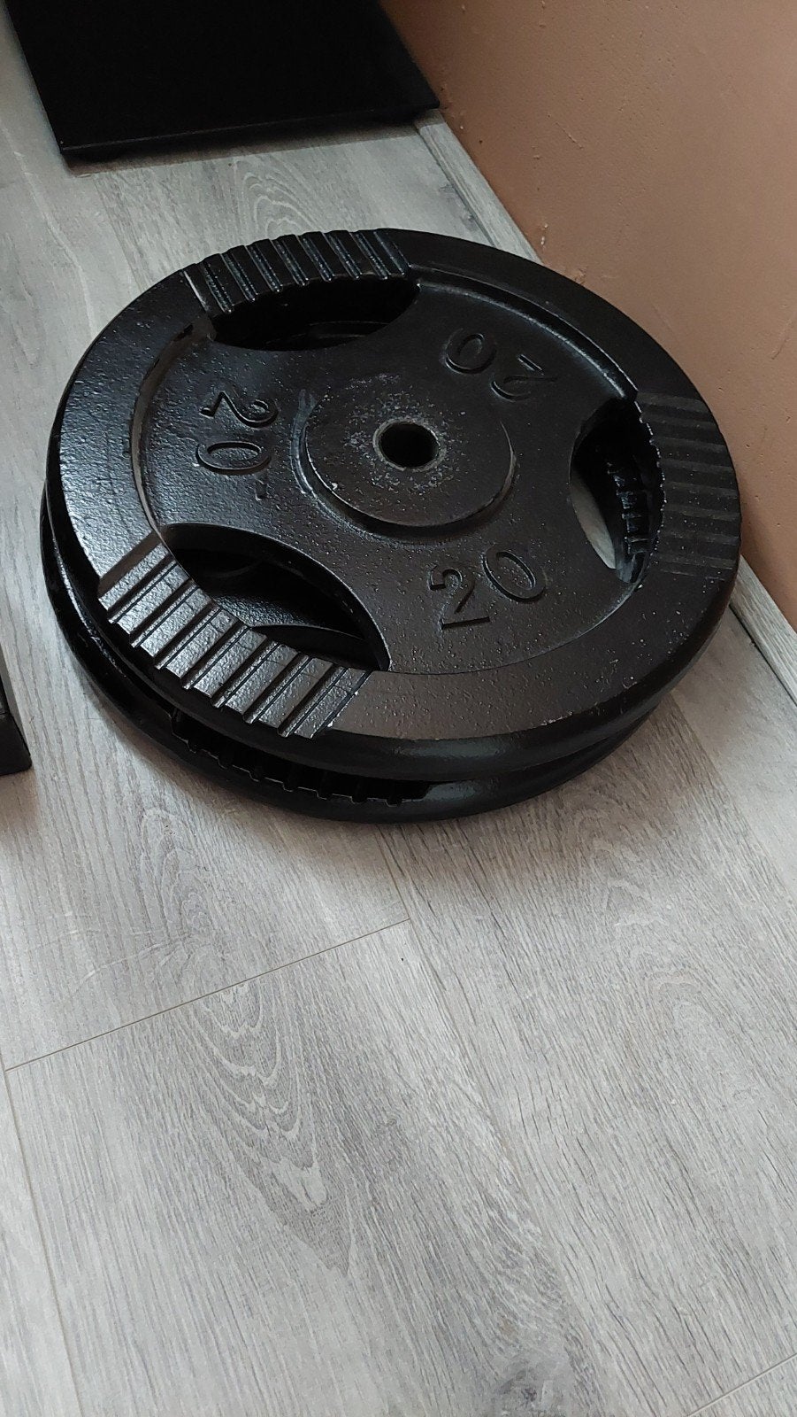 2x 20kg gripper gietijzeren schijven 30mm, Ophalen, Zo goed als nieuw, Benen, Halterschijven