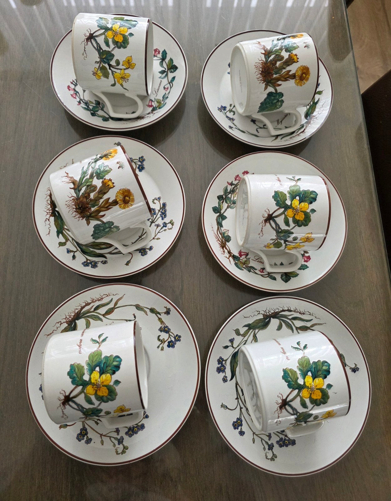 villeroy en boch botanica kopjes en schotels 6x, Antiek en Kunst, Ophalen of Verzenden