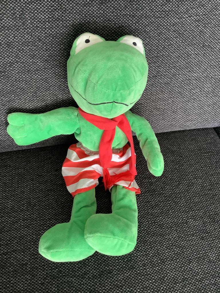 Kikker en zijn vriendjes pluche knuffel handpop 40 cm, Ophalen of Verzenden, Zo goed als nieuw, Kikker