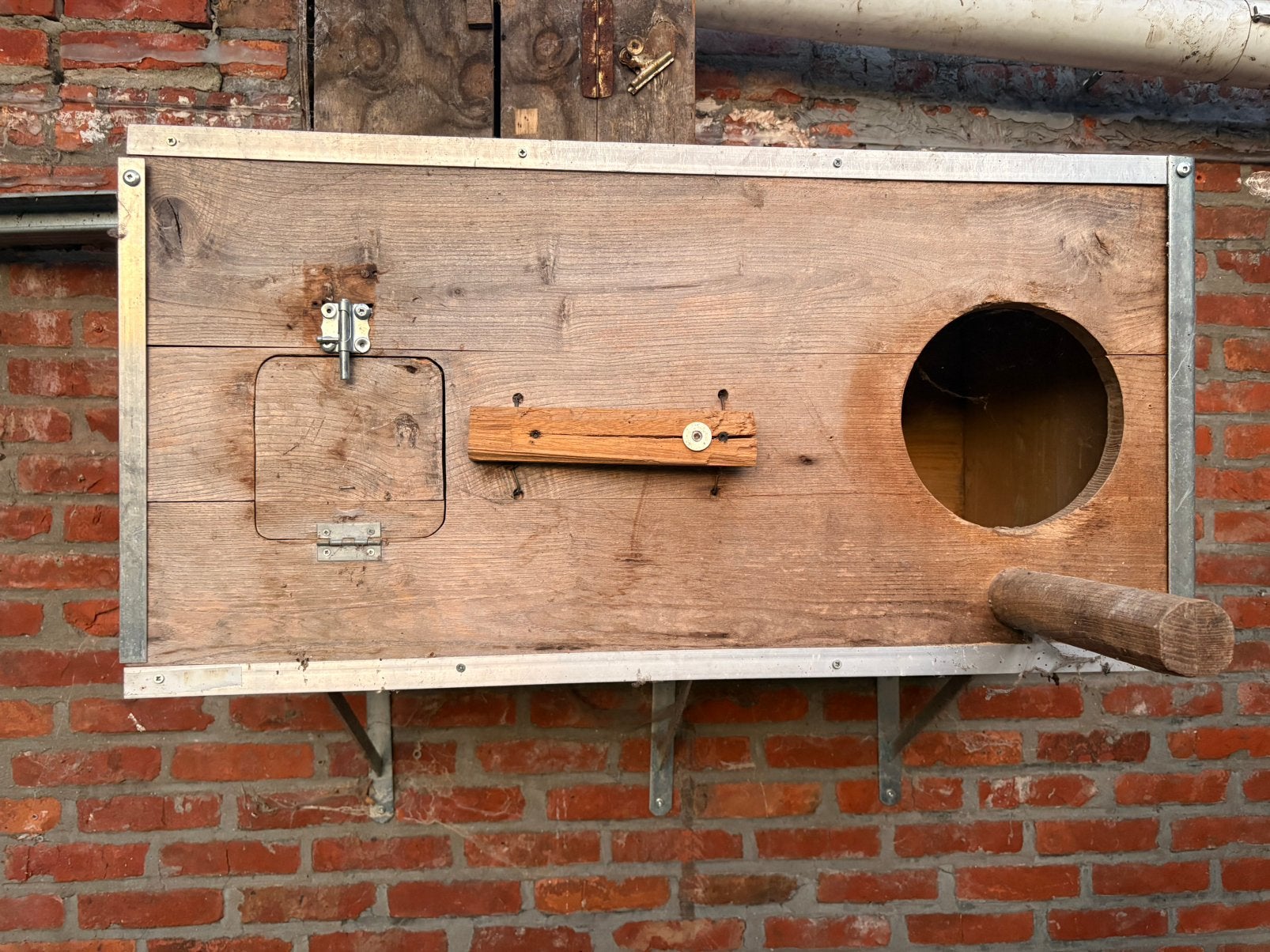 Broedblok Ara stevig hout, Meerdere dieren