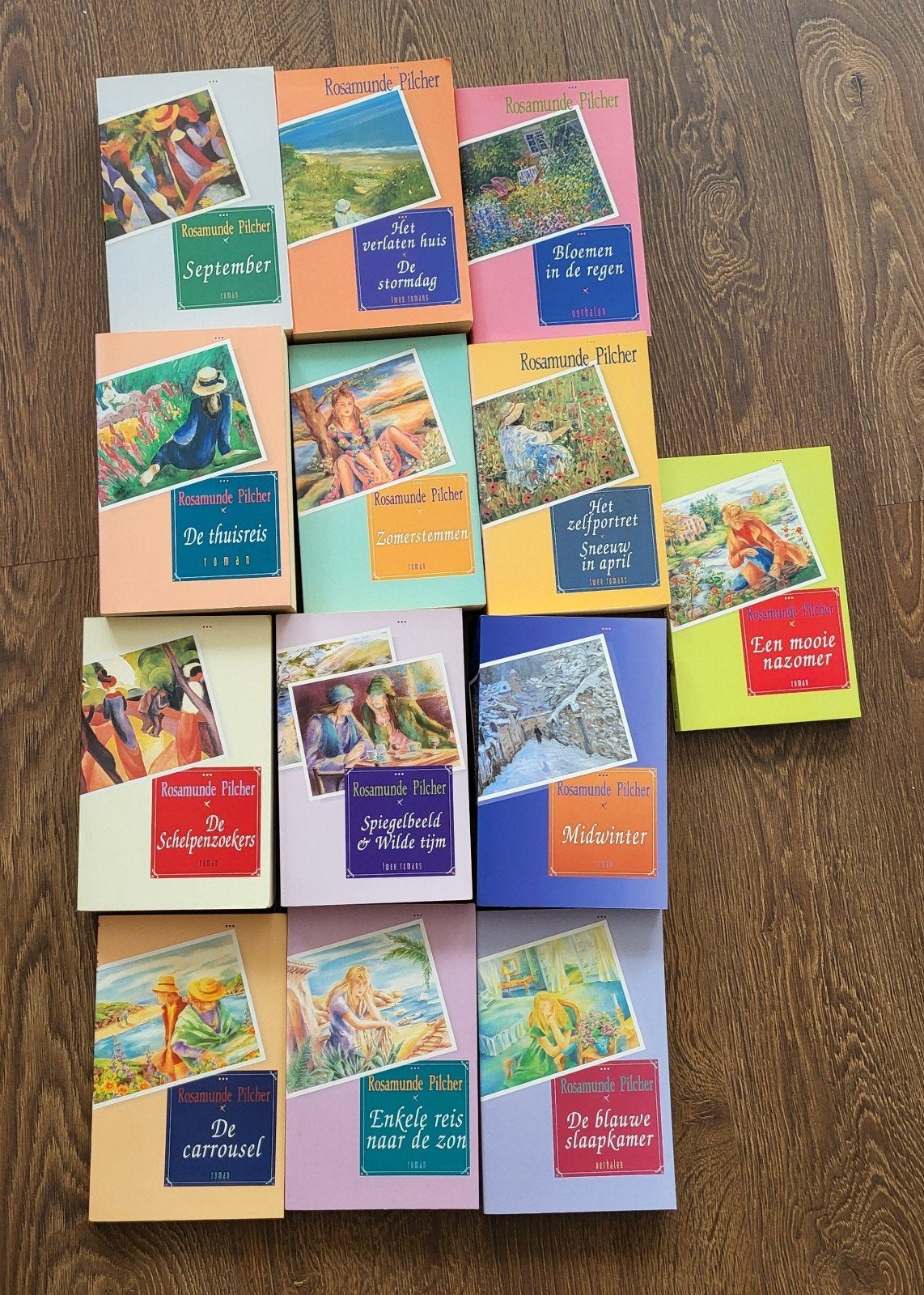 13 boeken van Rosamunde Pilcher. Alles in 1 verkoop., Ophalen of Verzenden, Rosamunde Pilcher