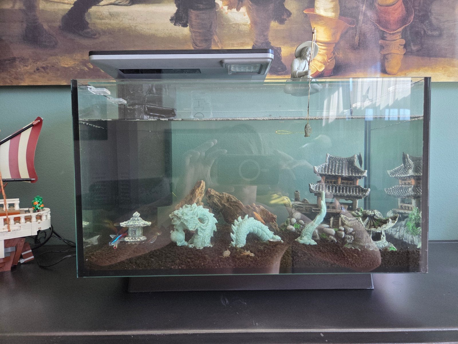 Aquarium met vissen en materiaal, Dieren en Toebehoren, Vissen | Aquaria en Toebehoren, Ophalen, Gevuld zoetwateraquarium
