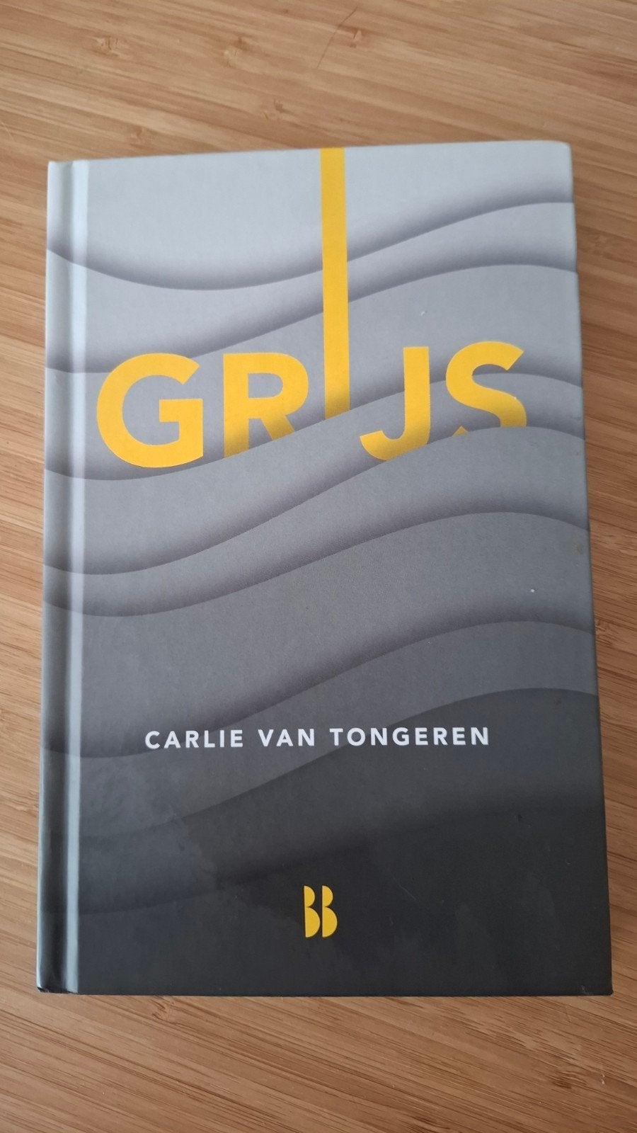 GRIJS - Carlie van Tongeren, Ophalen of Verzenden, Zo goed als nieuw, Nederland, Carlie van Tongeren