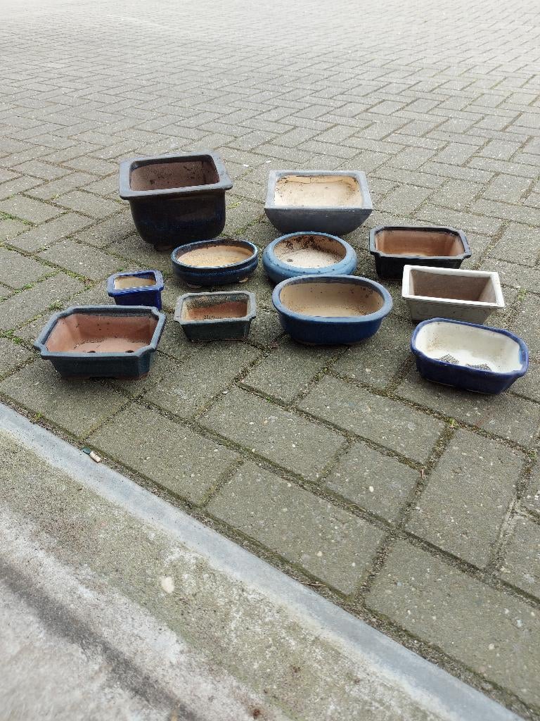 Bonsai potjes vandaag ophalen laatste kans, Ophalen, Gebruikt, Vierkant, Balkon