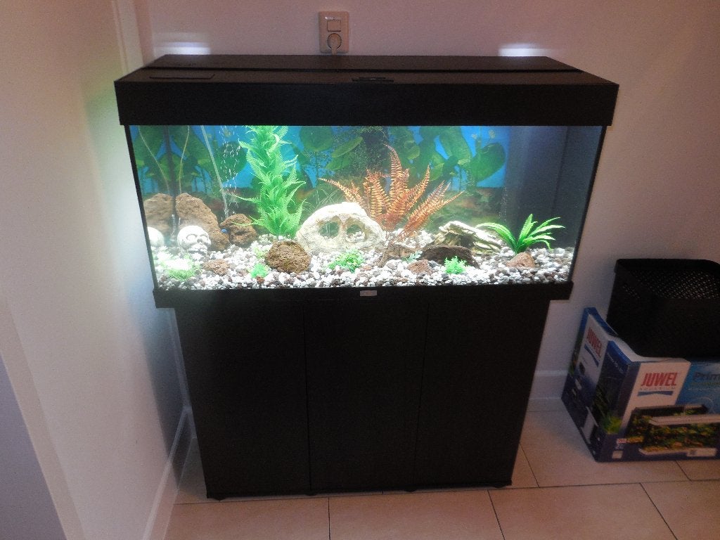 complete draaiende gevulde juwel rio 180 led, Gebruikt, Gevuld zoetwateraquarium, Juwel, Ophalen