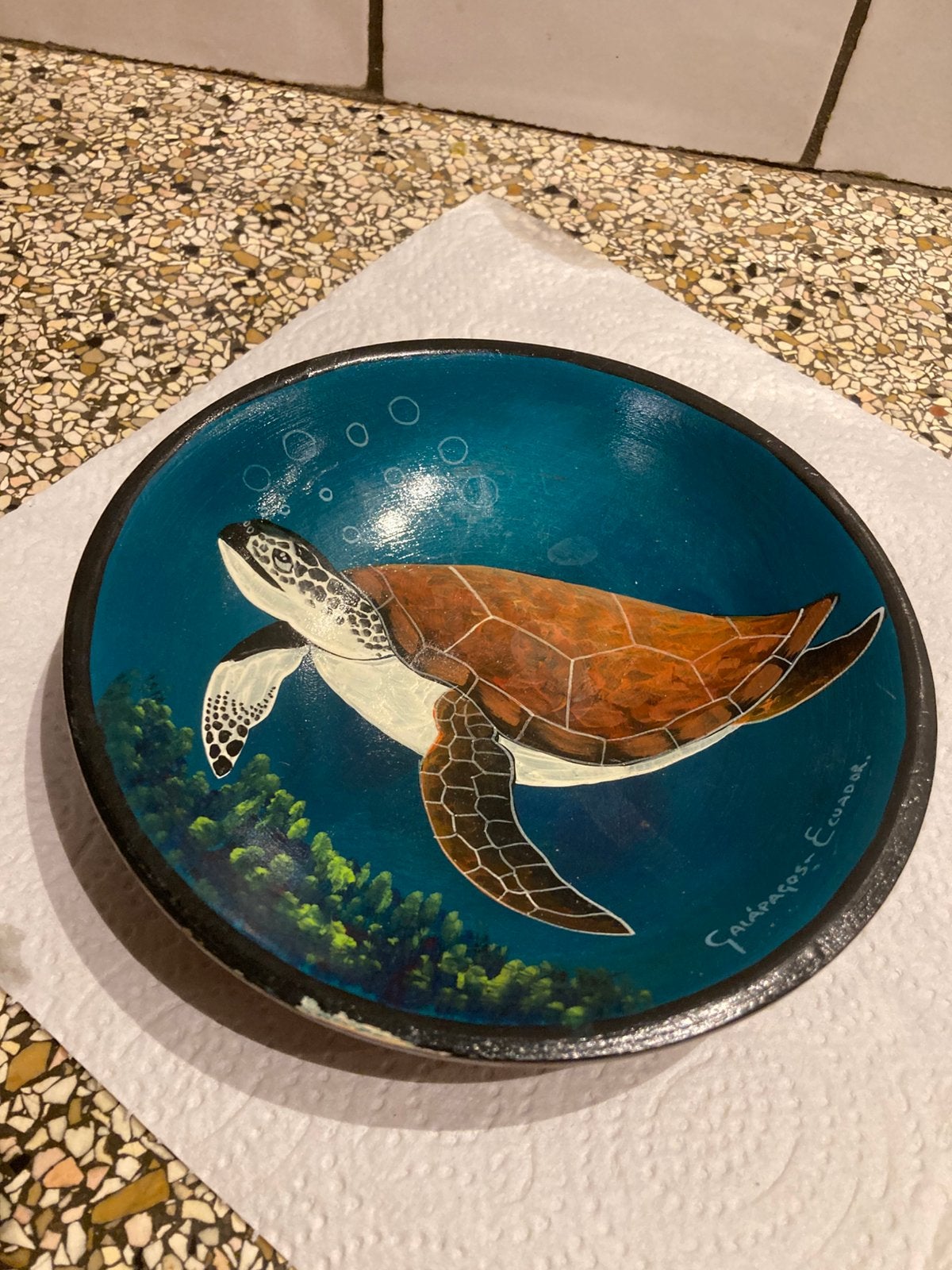 Mooie schaal zeeschildpad, Antiek en Kunst, Ophalen of Verzenden