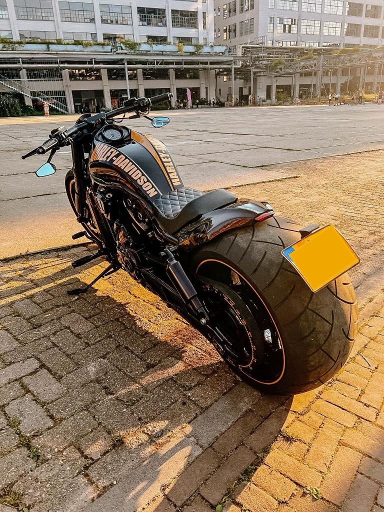 Brute Harley Night Rod Special | 300 achterwiel | Top Custom, 2 cilinders, Particulier, Meer dan 35 kW, 1250 cc