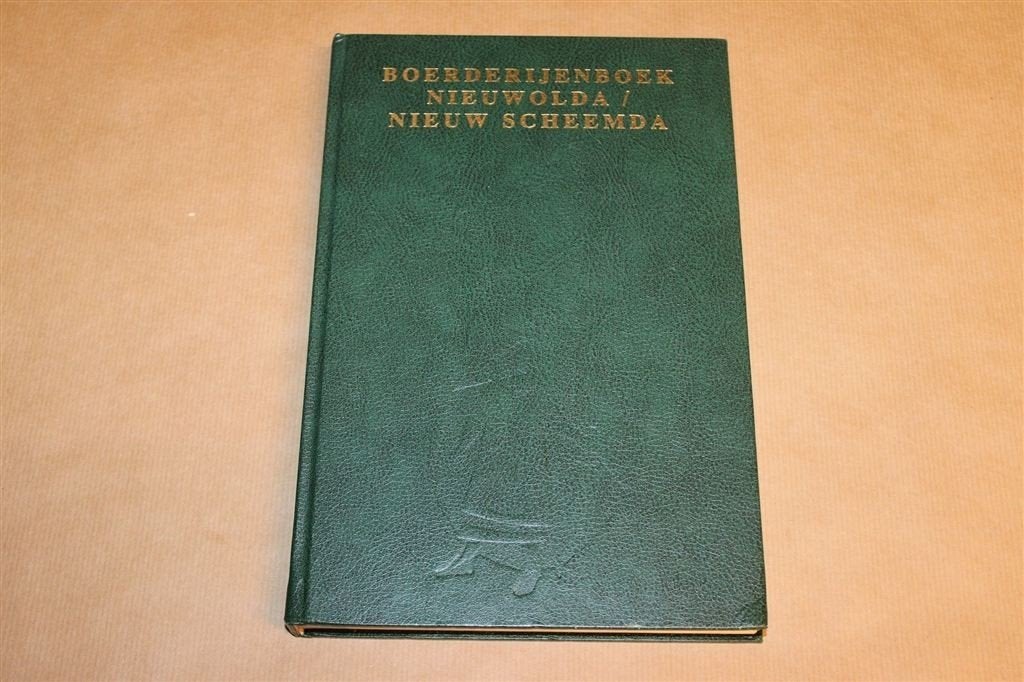 Boerderijenboek Nieuwolda, Nieuw Scheemda — Oldambt, Boeken, Ophalen of Verzenden, Gelezen