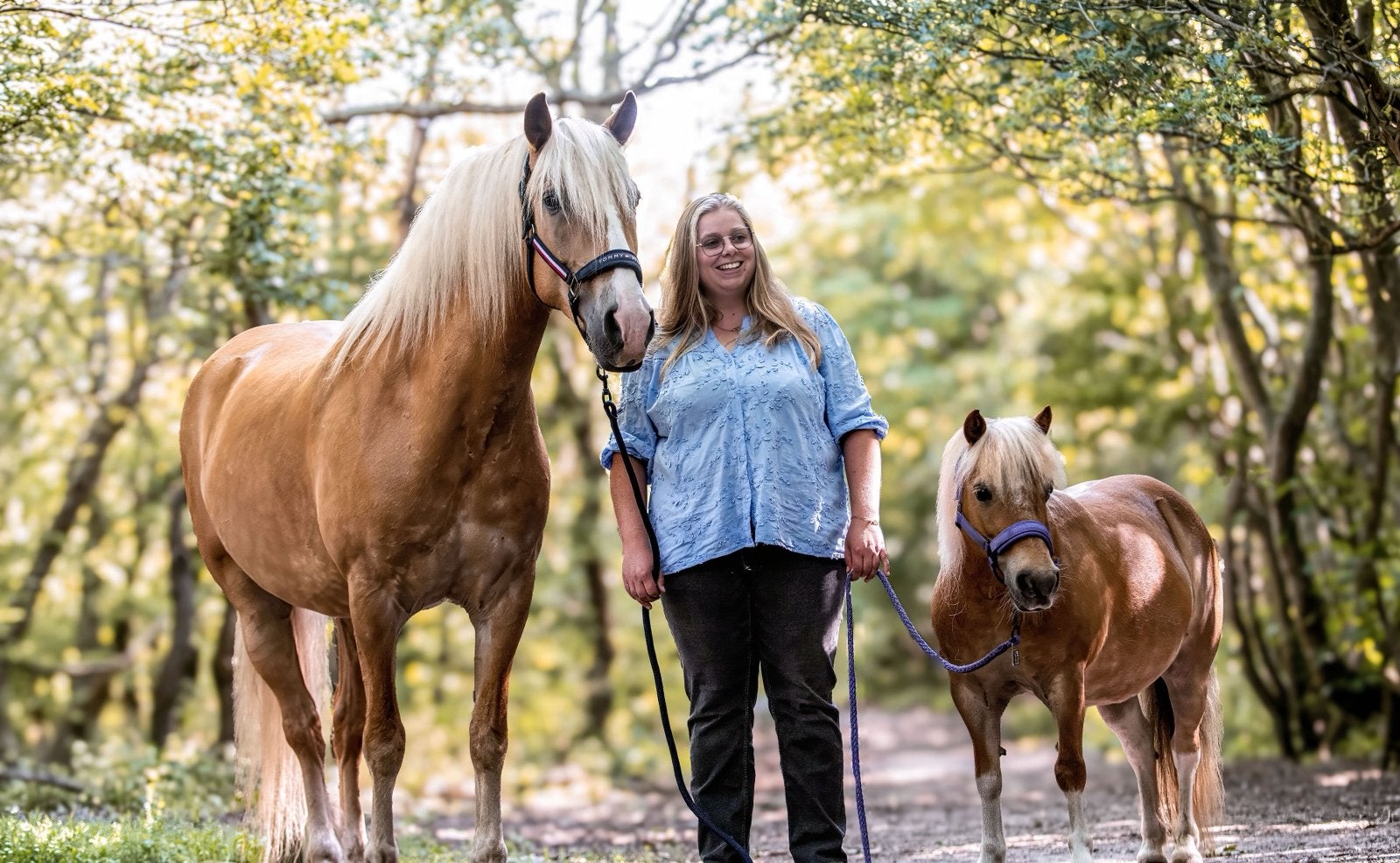Verzorg paard/pony gezocht, Ophalen of Verzenden