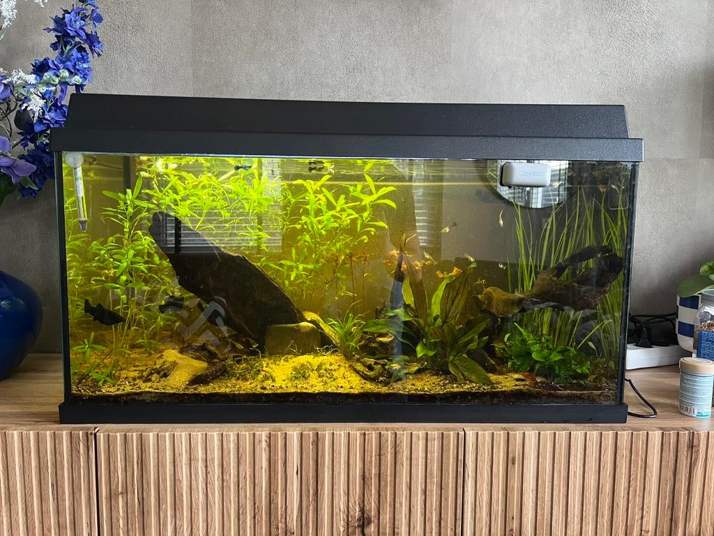 Juwel aquarium - 110 L, Ophalen, Zo goed als nieuw, Leeg aquarium