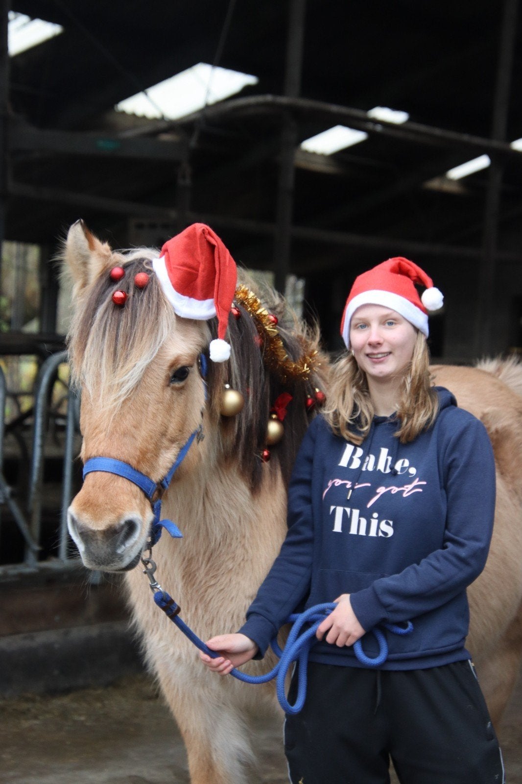 Verzorg pony gezocht, Dieren en Toebehoren, Paarden en Pony's | Verzorgingsproducten, Ophalen of Verzenden