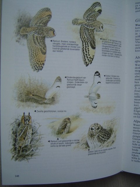 Vogeldeterminatie Vogelgids, Verzenden, Zo goed als nieuw, Vogels