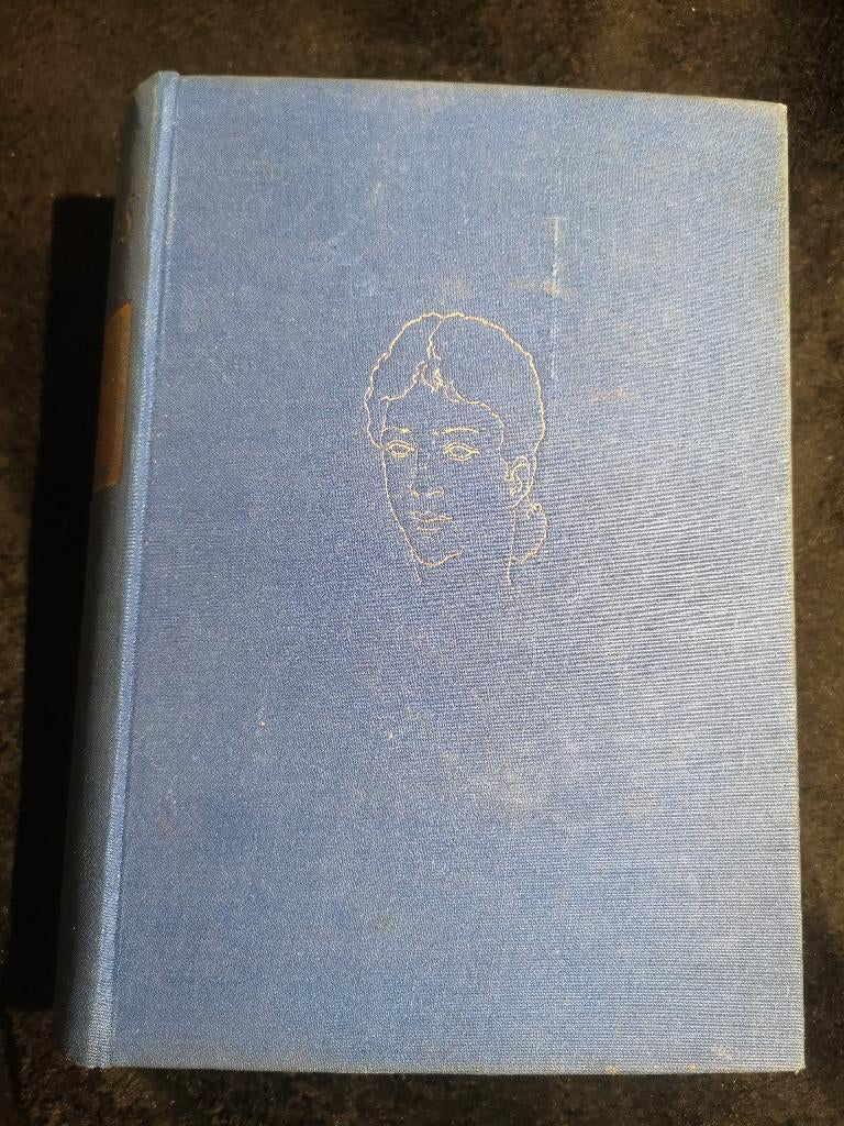 Johan Fabricius, Kasteel in Karinthië, Boeken, Romans, Gelezen, Ophalen of Verzenden