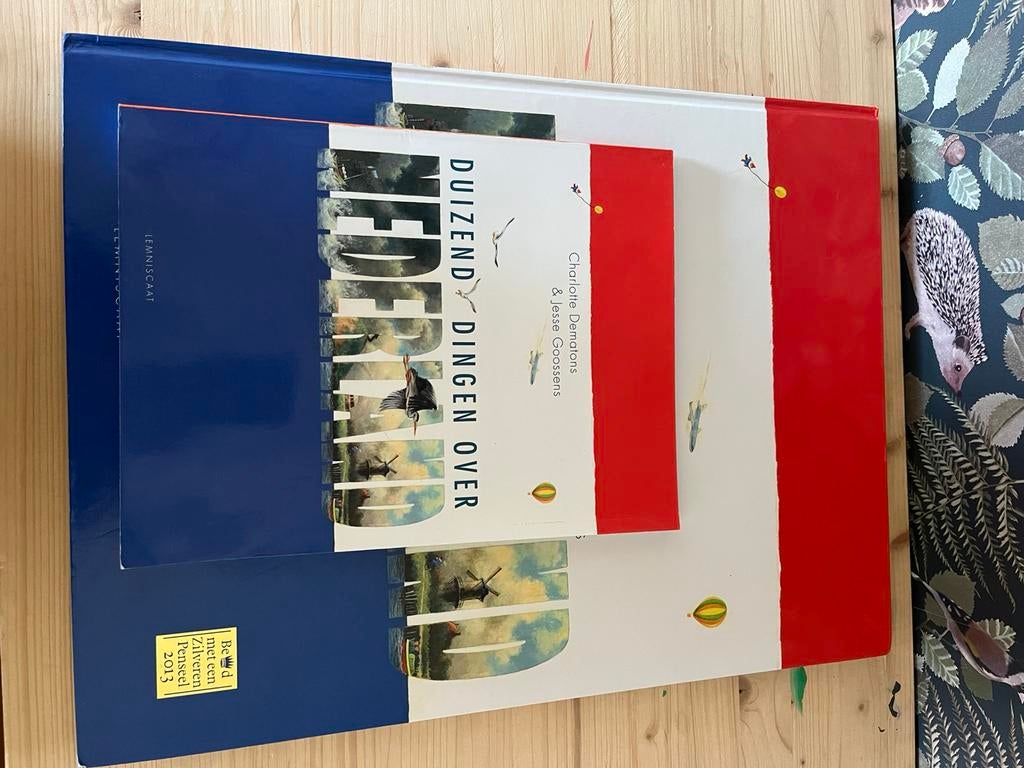 Charlotte Dematons Nederland maxi + Duizend dingen, Boeken, Ophalen, Zo goed als nieuw, Non-fictie