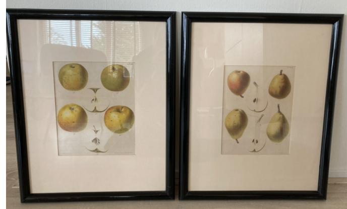 2 prenten G.Severeyns appels en peren met passpartout, Ophalen, Gebruikt, Voor 1940, Prent