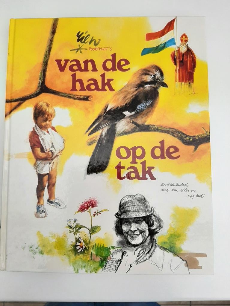 BOEK RIEN POORTVLIET, Ophalen of Verzenden, Zo goed als nieuw