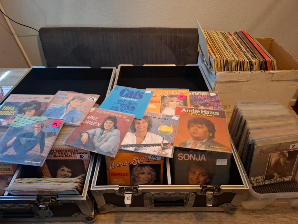 Singels en lp's te koop, Ophalen, Gebruikt, Overige formaten, Levenslied of Smartlap