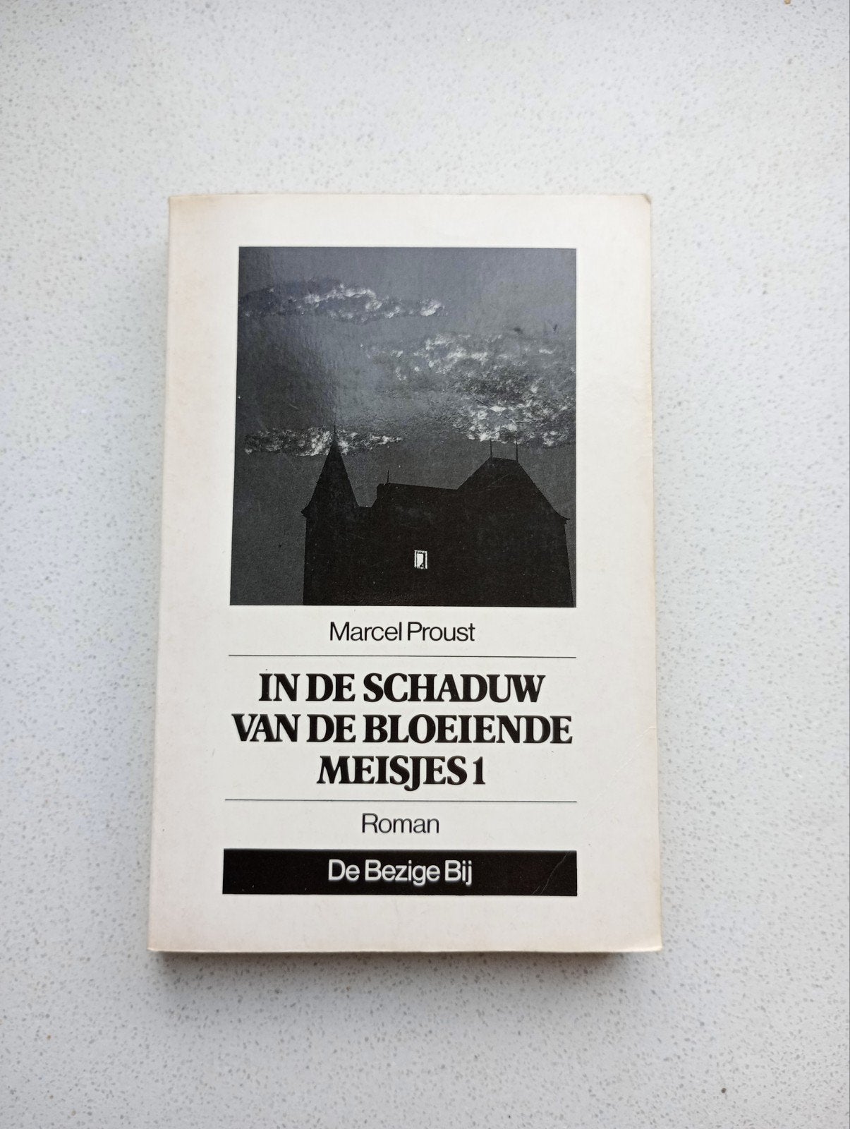 In de Schaduw van de Bloeiende Meisjes I - Marcel Proust, Ophalen of Verzenden, Gelezen, Europa overig