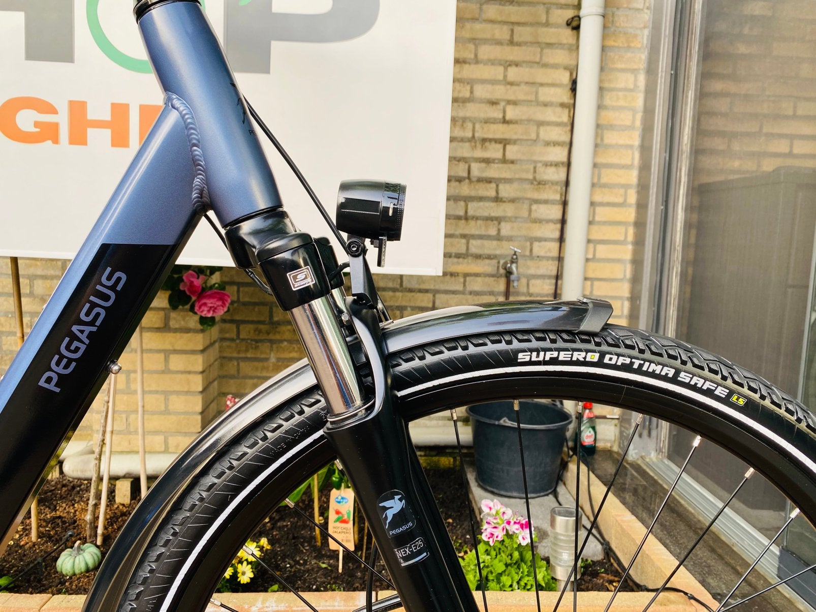 Elektrische Pegasus Bosch Middenmoto Active Line Plus.D55, Fietsen en Brommers, 53 tot 56 cm, Ophalen of Verzenden, Zo goed als nieuw