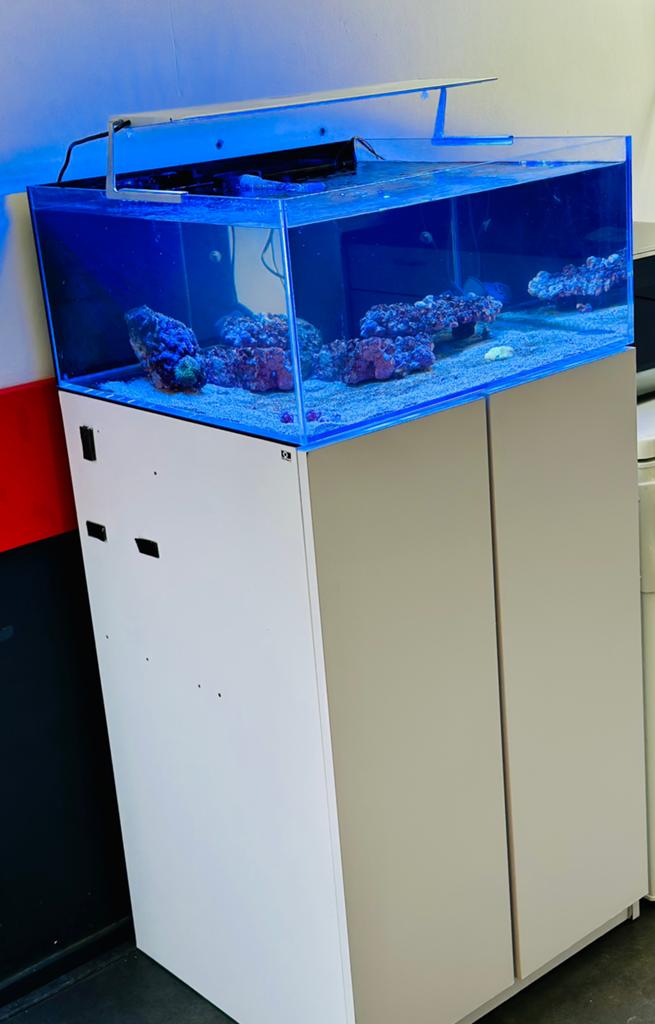 Zee aquarium stekkenbak nano, Ophalen, Gevuld zeewateraquarium, App-bediening, Zo goed als nieuw