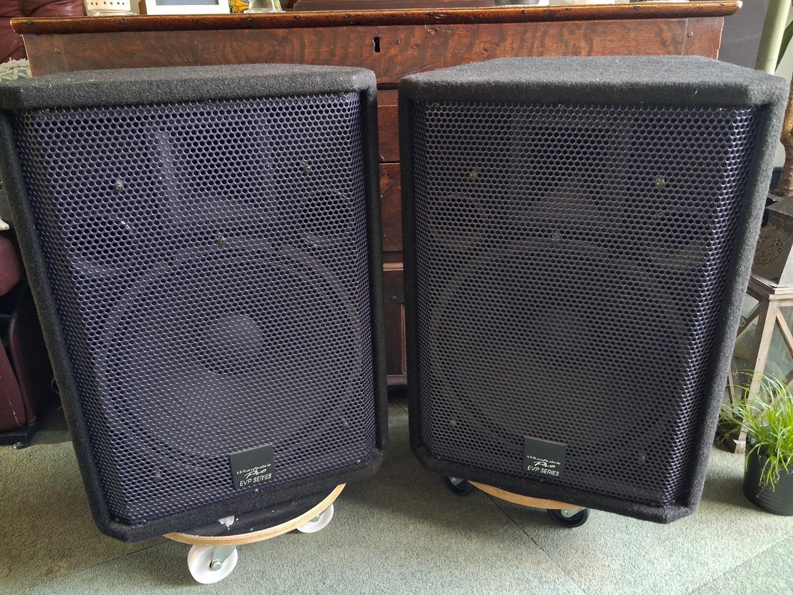 Wharfedale pro series EVP 15, Ophalen, Zo goed als nieuw, Overige merken