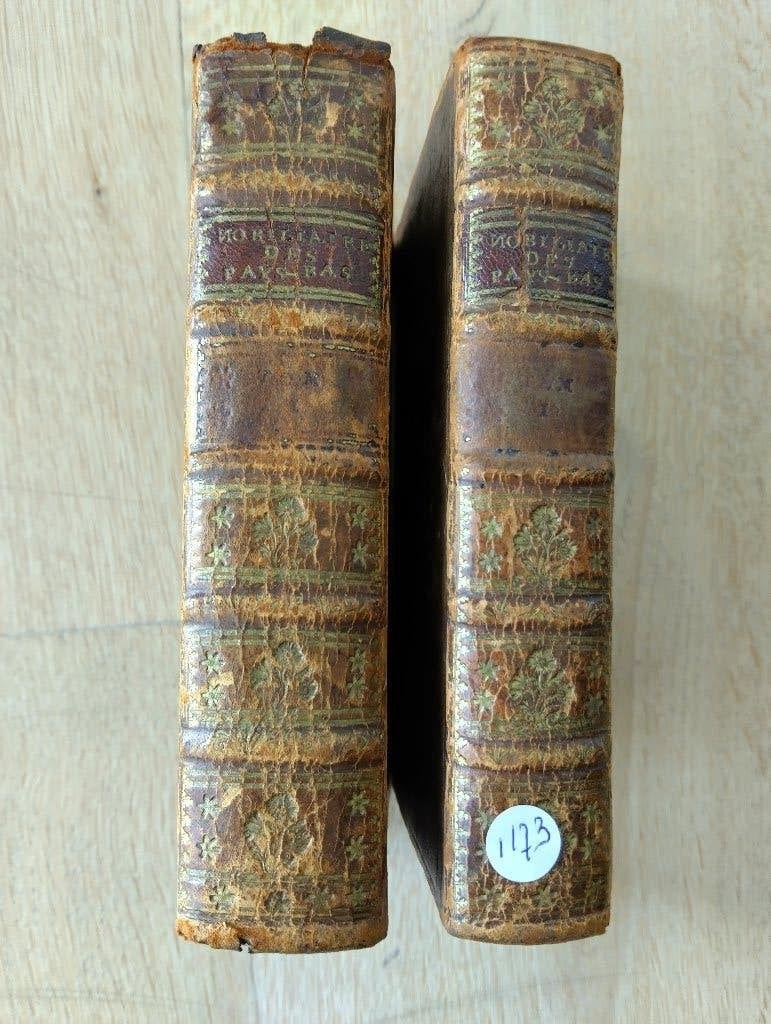 Nr. 1173  M.D. ****S.D.H. (Devegiano) Nobiliaire de Pays-Bas, Antiek en Kunst, Ophalen of Verzenden, Devegiano, M.