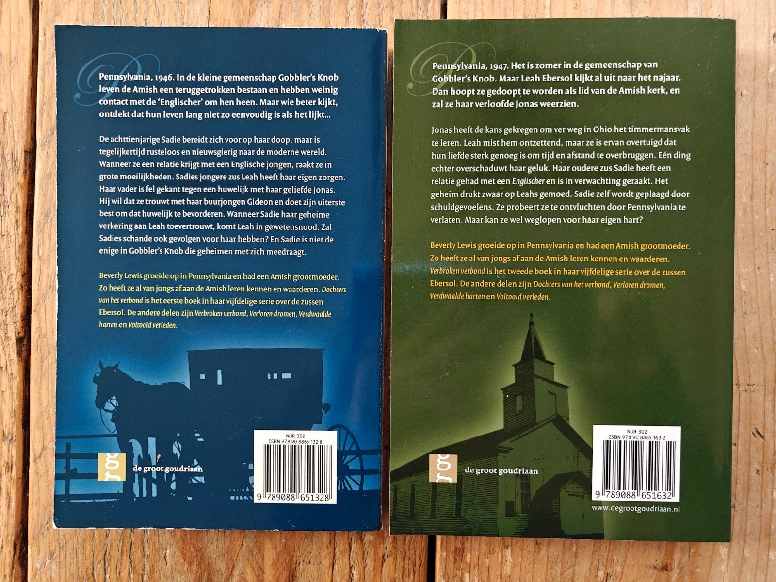 Deel 1 en 2 van de serie: Dochters van het verbond., Ophalen of Verzenden, Zo goed als nieuw