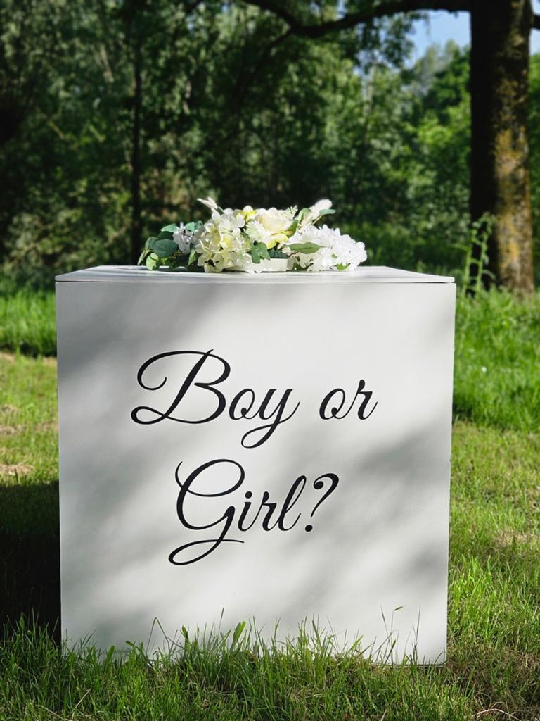 Genderreveal houten box TE HUUR, Ophalen, Nieuw, Geboorte of Huwelijk
