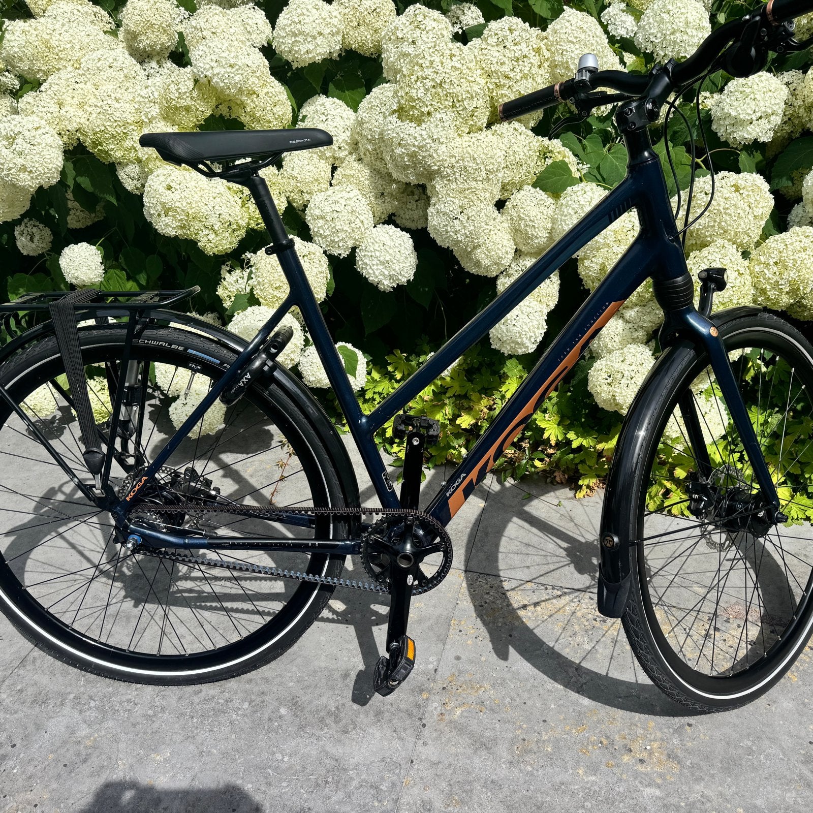 Koga F3 8.0 met Alfine 11 versnellingen belt drive D56, Fietsen en Brommers, Fietsen | Dames | Damesfietsen, Versnellingen, 56 cm of meer