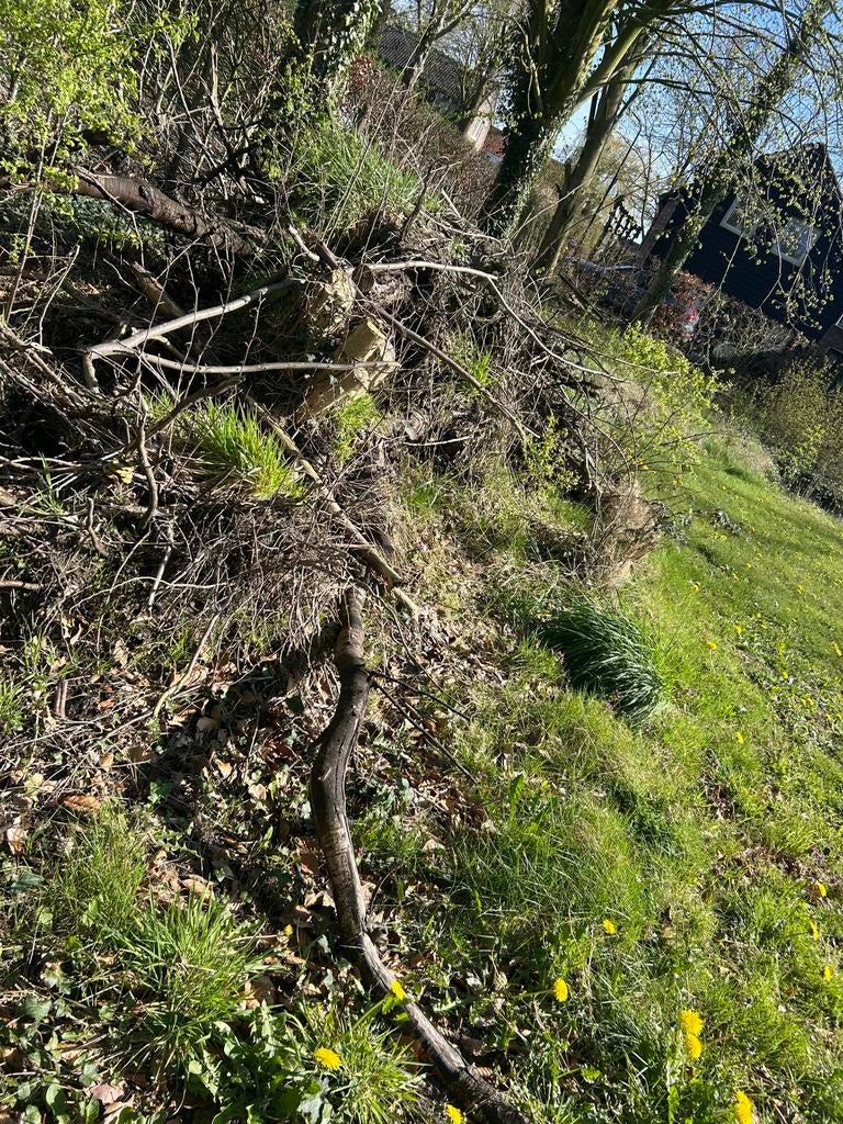 Openhaardhout/ tuinhout, Tuin en Terras, Haardhout, 3 tot 6 m³, Ophalen, Stammen