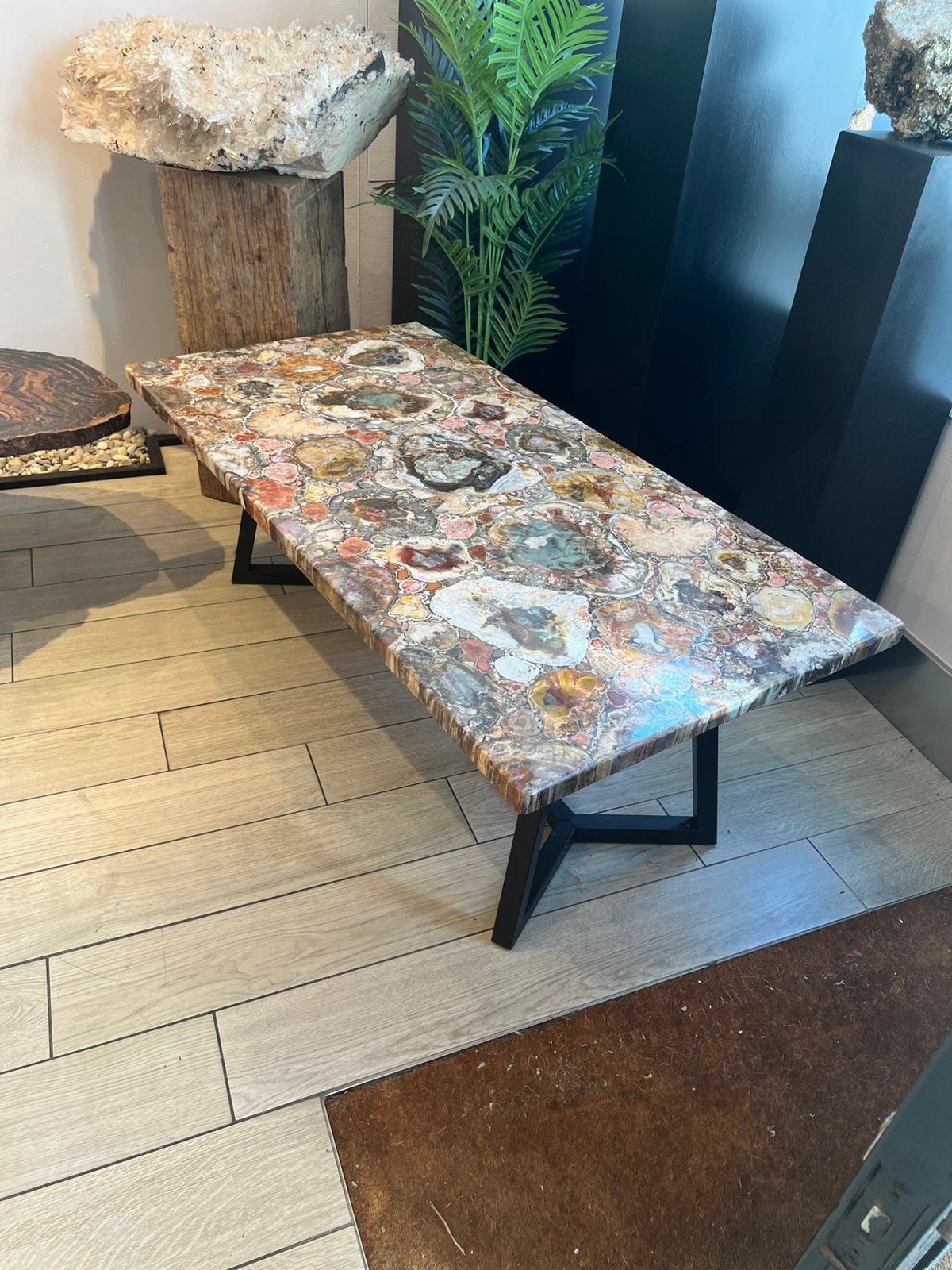 Salontafel compositie versteend hout Madagaskar, Ophalen of Verzenden