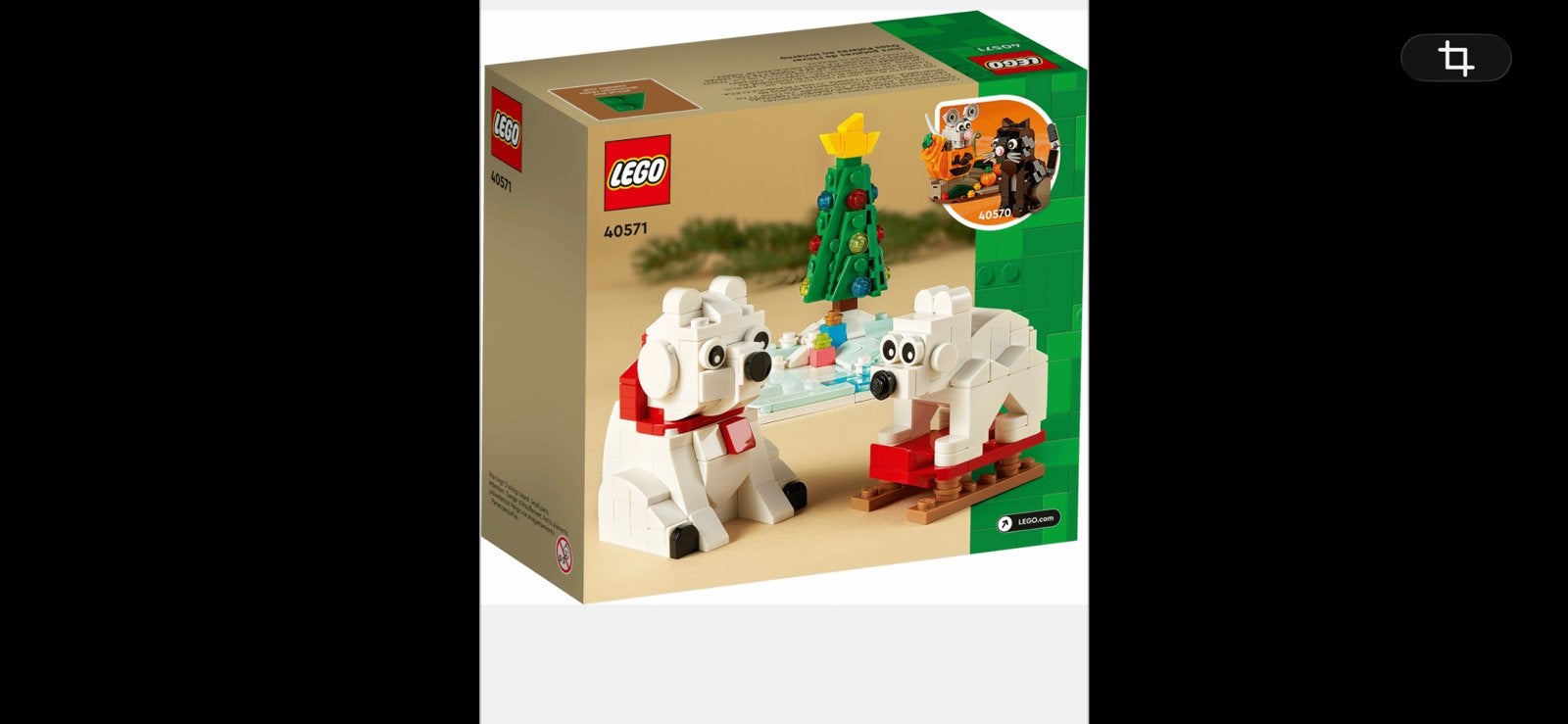 Lego 40571 ijsberen in de winter, Overige thema's, Lego, Ophalen of Verzenden, Zo goed als nieuw