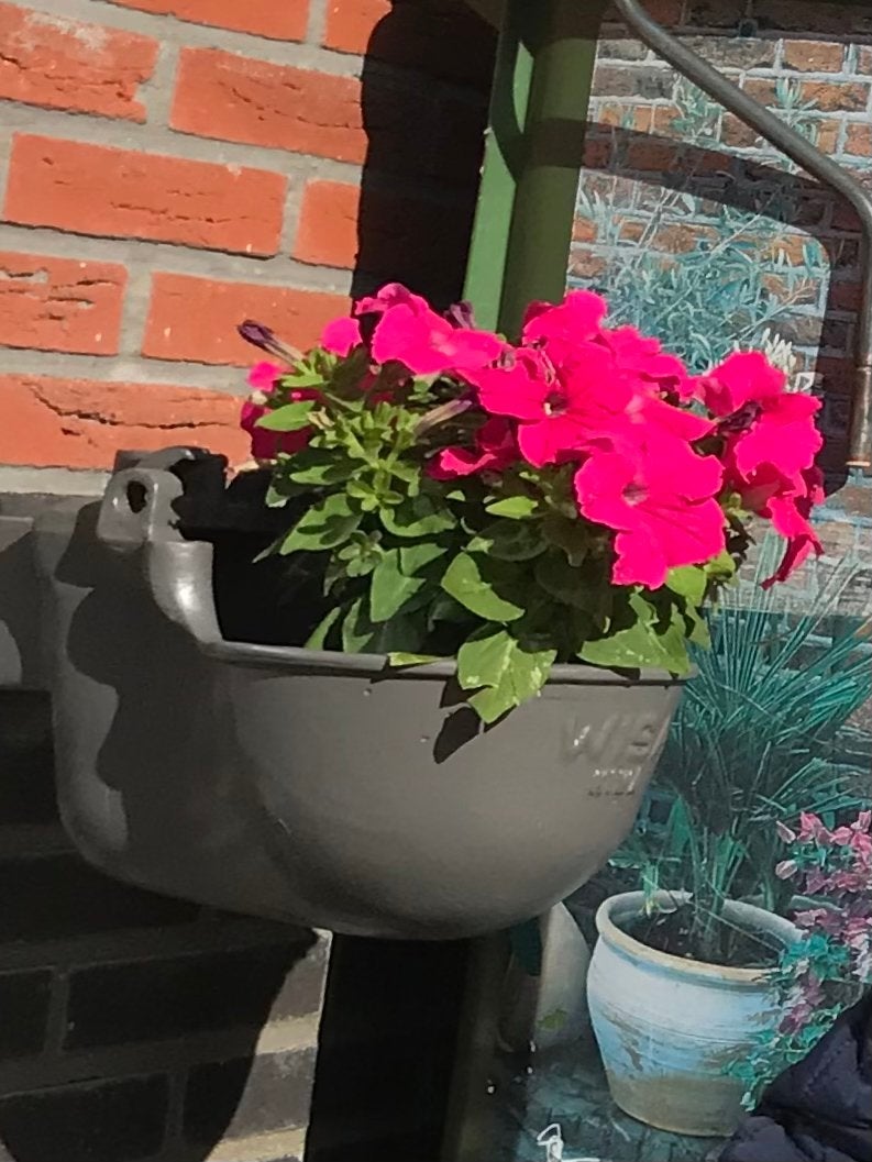 Vintage Wisa Kiwa gietijzeren drinkbak / bloempot, Ophalen, Gebruikt, Minder dan 30 cm, Minder dan 60 cm