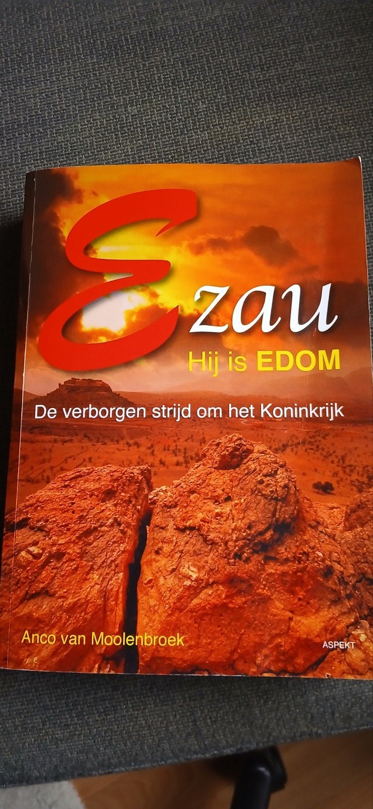 Anco van Moolenbroek - Ezau, hij is Edom, Ophalen of Verzenden, Zo goed als nieuw, Anco van Moolenbroek