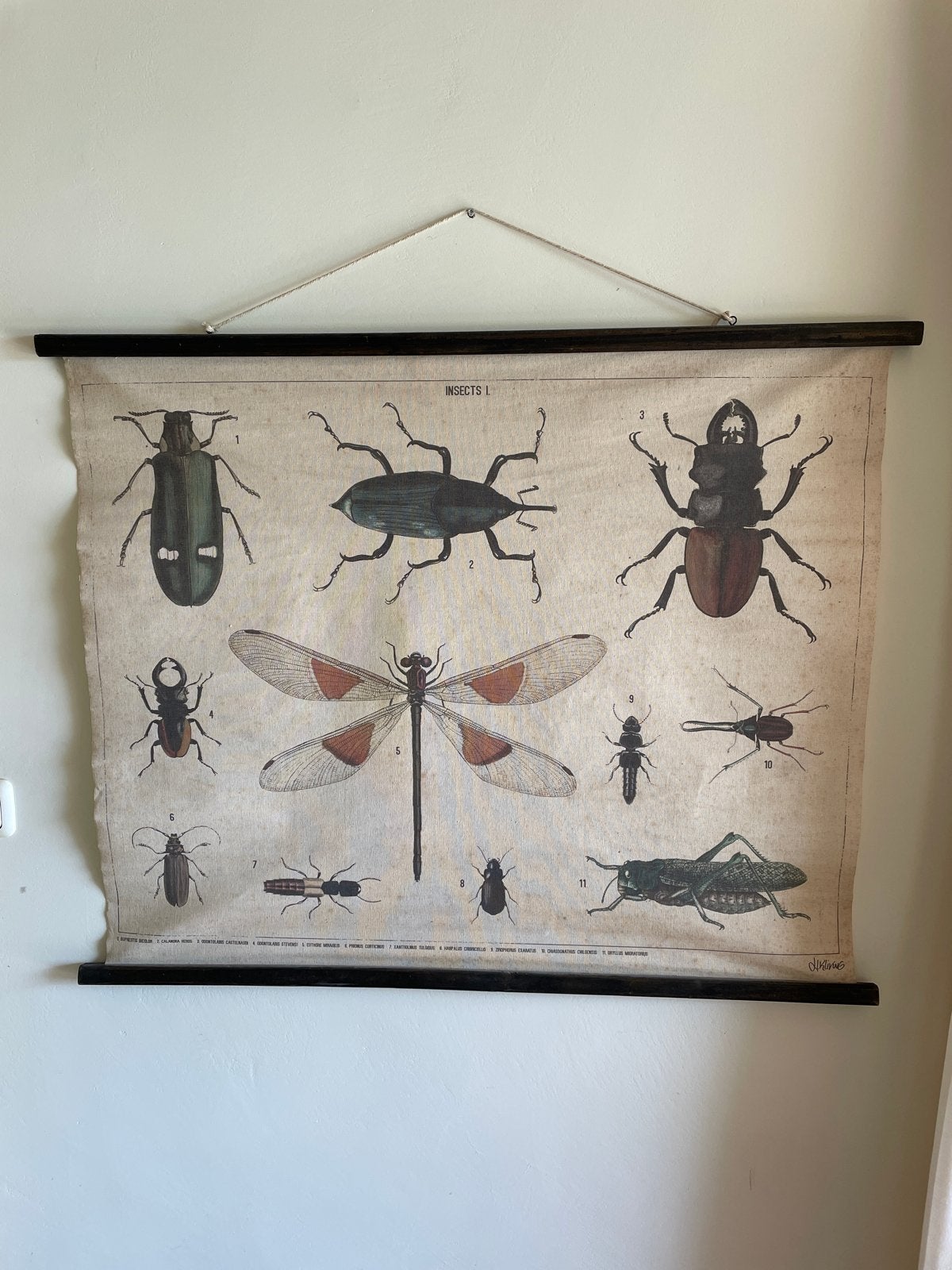 Vintage insecten wandkleed, Ophalen, Gebruikt, Met ophangsysteem, Meerkleurig
