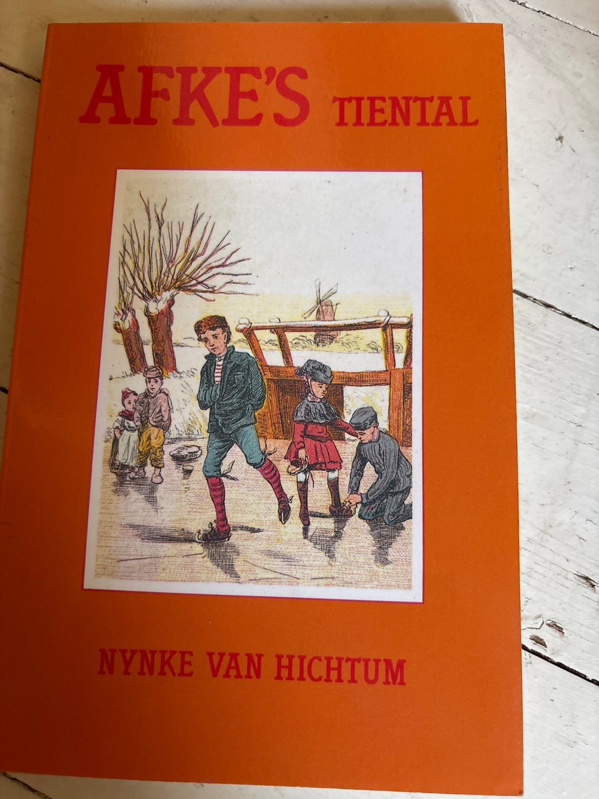 Afke's Tiental - Nynke van Hichtum (Herdruk), Ophalen of Verzenden, Zo goed als nieuw, Fictie algemeen