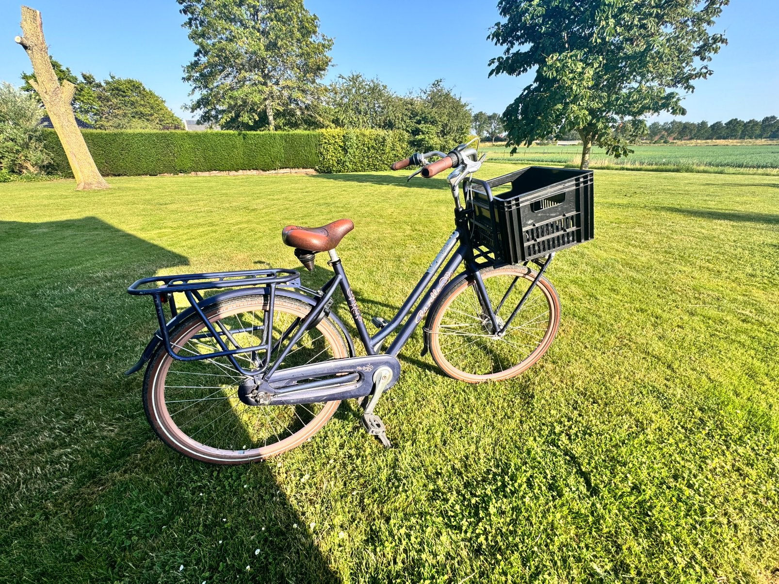 Gazelle Miss Grace, Fietsen en Brommers, Fietsen | Dames | Damesfietsen, Ophalen, Gebruikt, Versnellingen, Gazelle