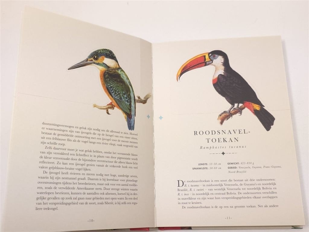 Fraaie Vogels — Press-out Boek, 50 Soorten Wereldwijd, Boeken, Dieren en Huisdieren, Ophalen of Verzenden, Gelezen, Vogels