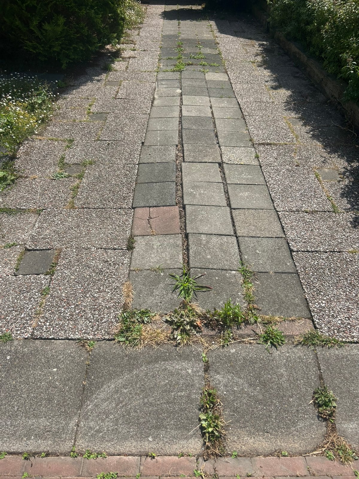 GRATIS TEGELS! 33 vierkante mtr, 3 types, Ophalen, Gebruikt, 10 m² of meer, Beton